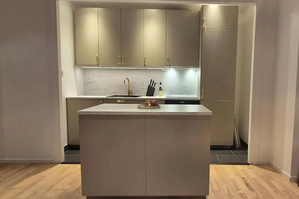 Luxurious City Apartment 卑爾根