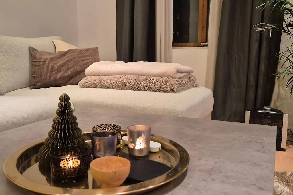 Luxurious City Apartment 卑爾根